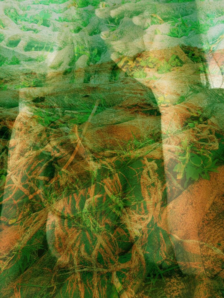 Fotos Submersa - o corpo como anima Sonia Loren