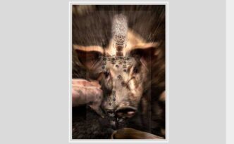 Med Photo Fest 2025 - XVII edizione internazionale -